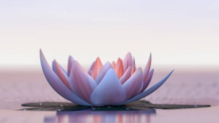 Feng Shui - Lotus Flower