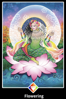 Queen of Rainbows, Flowering lg
