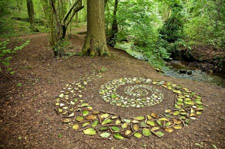 nature tree spiral