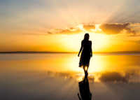 sunrise-road-map-1.png sunrise-road-map-1.png